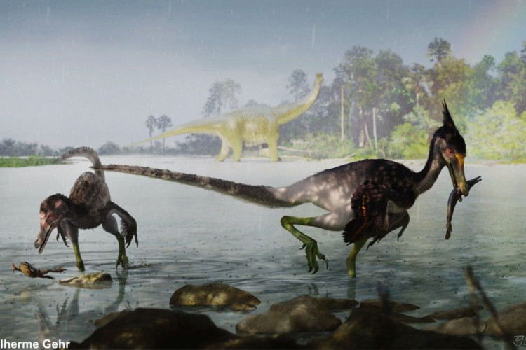Estudo brasileiro descreve dinossauro que viveu no período Cretáceo