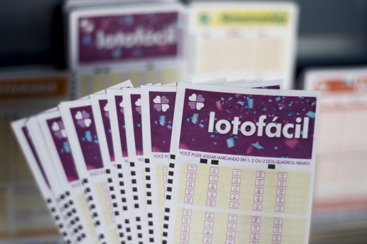 O resultado da Lotofácil Concurso 2308 será divulgado na noite de hoje, sábado, 14 de agosto (14/08). O prêmio da loteria está estimado em R$ 3,5 milhões