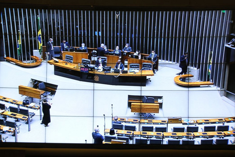 Câmara aprova proibição de tatuagem em cães e gatos com fins estético