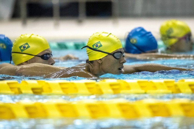 O Brasil participa das competições de natação nas Paralimpíadas desde 1972. Confira mais curiosidades sobre a modalidade dos Jogos Paralímpicos de Tóquio, que começam hoje, 24