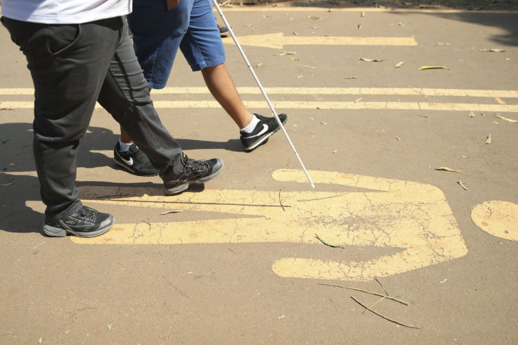 A 1ª Caminhada Nacional da Luta dos Direitos das Pessoas com Deficiência no Parque da Cidade, em Brasília