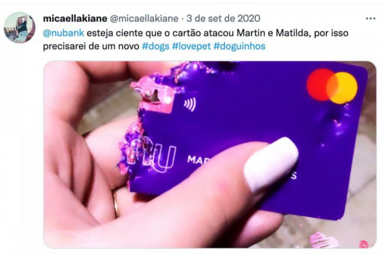 Nubank relata que mais de 6 mil clientes perderam o cartão de crédito por mordidas de seus cachorros