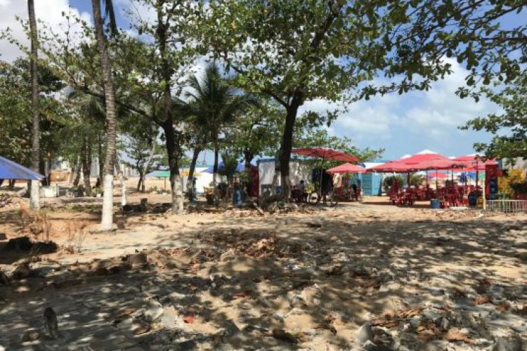 Foto do local onde será instalado o Skate Plaza, que, segundo a Prefeitura de Fortaleza, terá sombreamento da arborização mantido