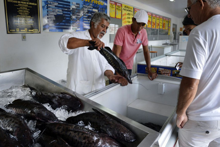 ￼VARIAÇÃO de preços do peixe tilápia foi a maior em Fortaleza