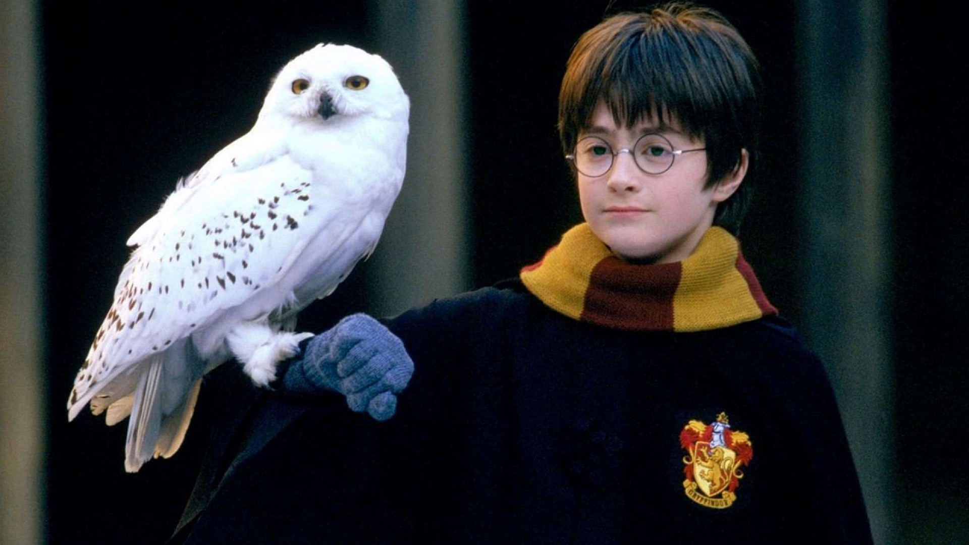 O filme 'Harry Potter e a Pedra Filosofal' completa 20 anos em 2021 (Foto: reprodução/ Warner Bros
)