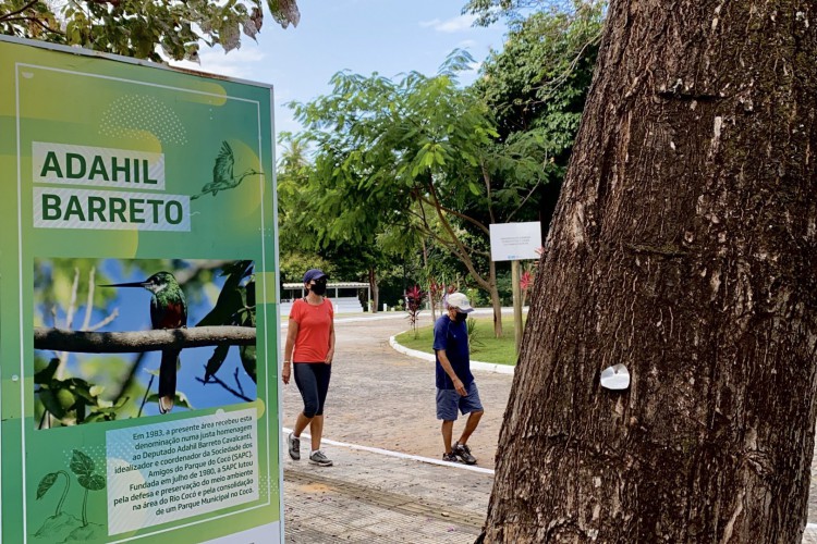 Área do Adahil Barreto, do Parque Estadual do Cocó, em Fortaleza. Lugar de caminhadas na Unidade de Conservação de Proteção Integral.