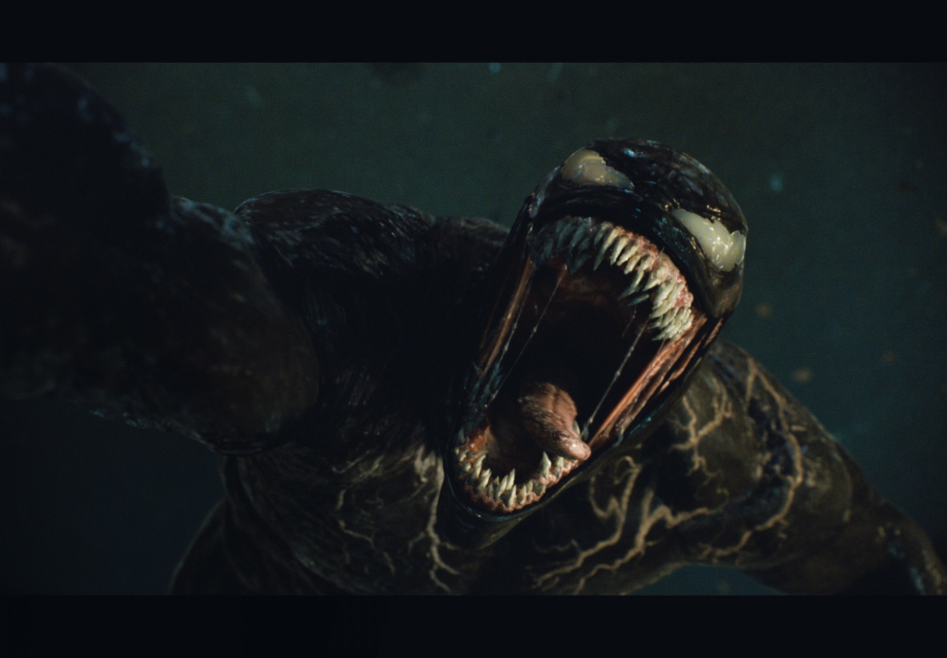 Tom Hardy retorna com "Venom", um dos personagens mais complexos do Universo Marvel, para terceiro filme da franquia (Foto: Divulgação/Courtesy Sony Pictures Entertainment)