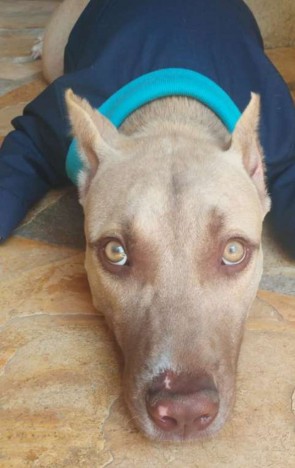 Baruk faz parte do quartel localizado em Crato 