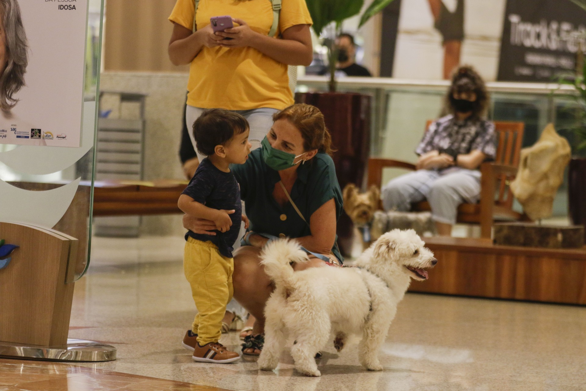 No RioMar Fortaleza, assim como em outros shoppings da Cidade, famílias podem passear com seus pets (Foto: (Thais Mesquita/OPOVO))