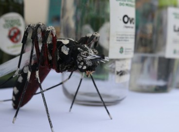 Foto de apoio ilustrativo. Exames de sangue e teste com Swab detectam arboviroses 