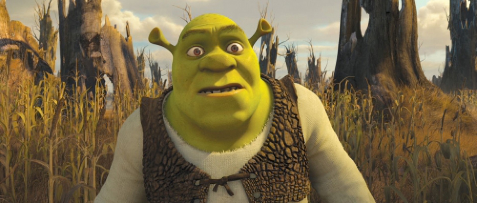 Dois Shrek 4 u, meme shrek papel de parede HD