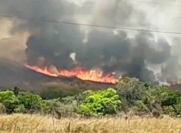 O fogo na vegetação no município de Tarrafas dura oito dias  