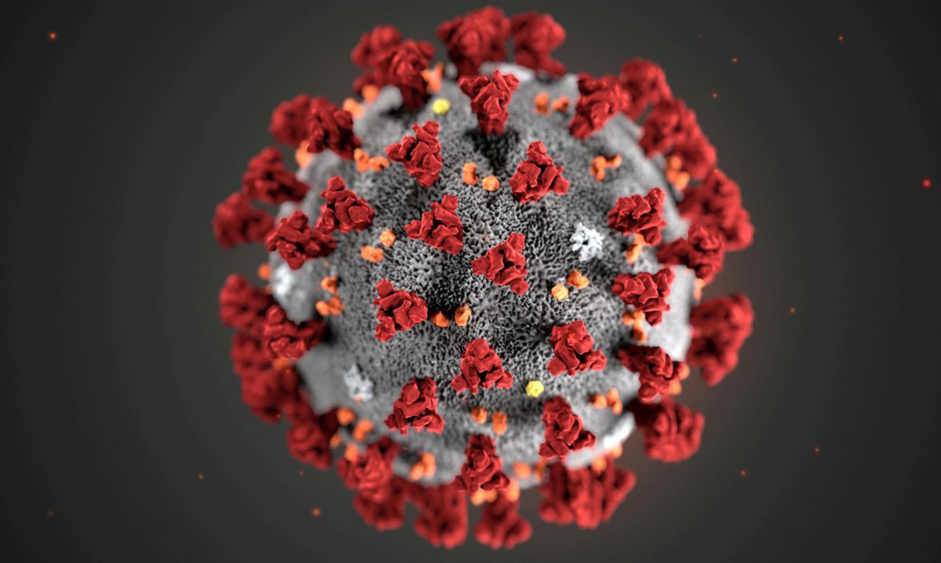 O SARS-CoV-2, também conhecido como novo coronavírus (Foto: Divulgação)