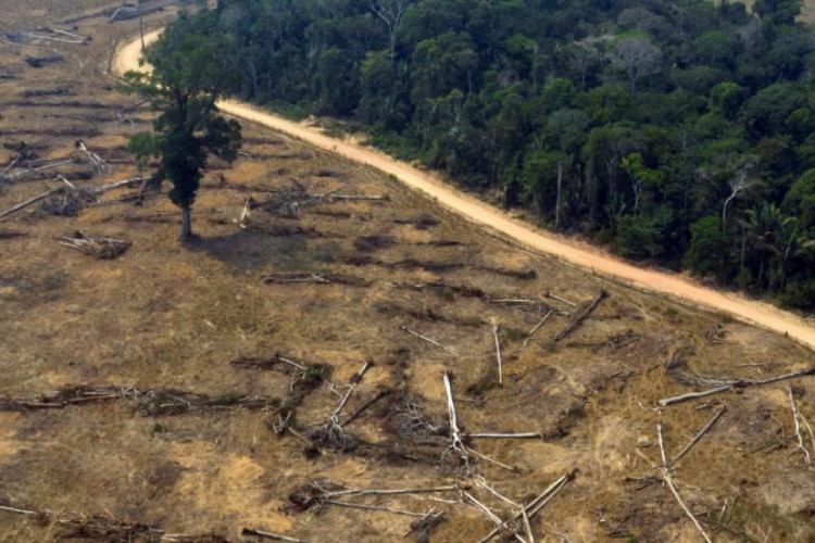 Incêndios crescem em maio na Amazônia brasileira e batem recorde no Cerrado