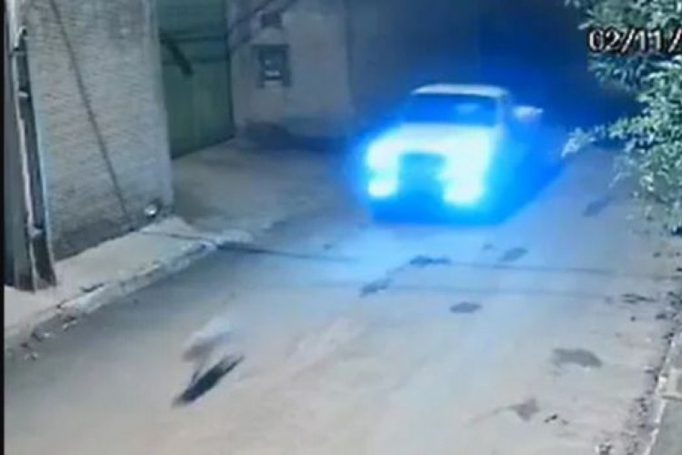 Homem atropela e mata cadela de propósito no Distrito Federal