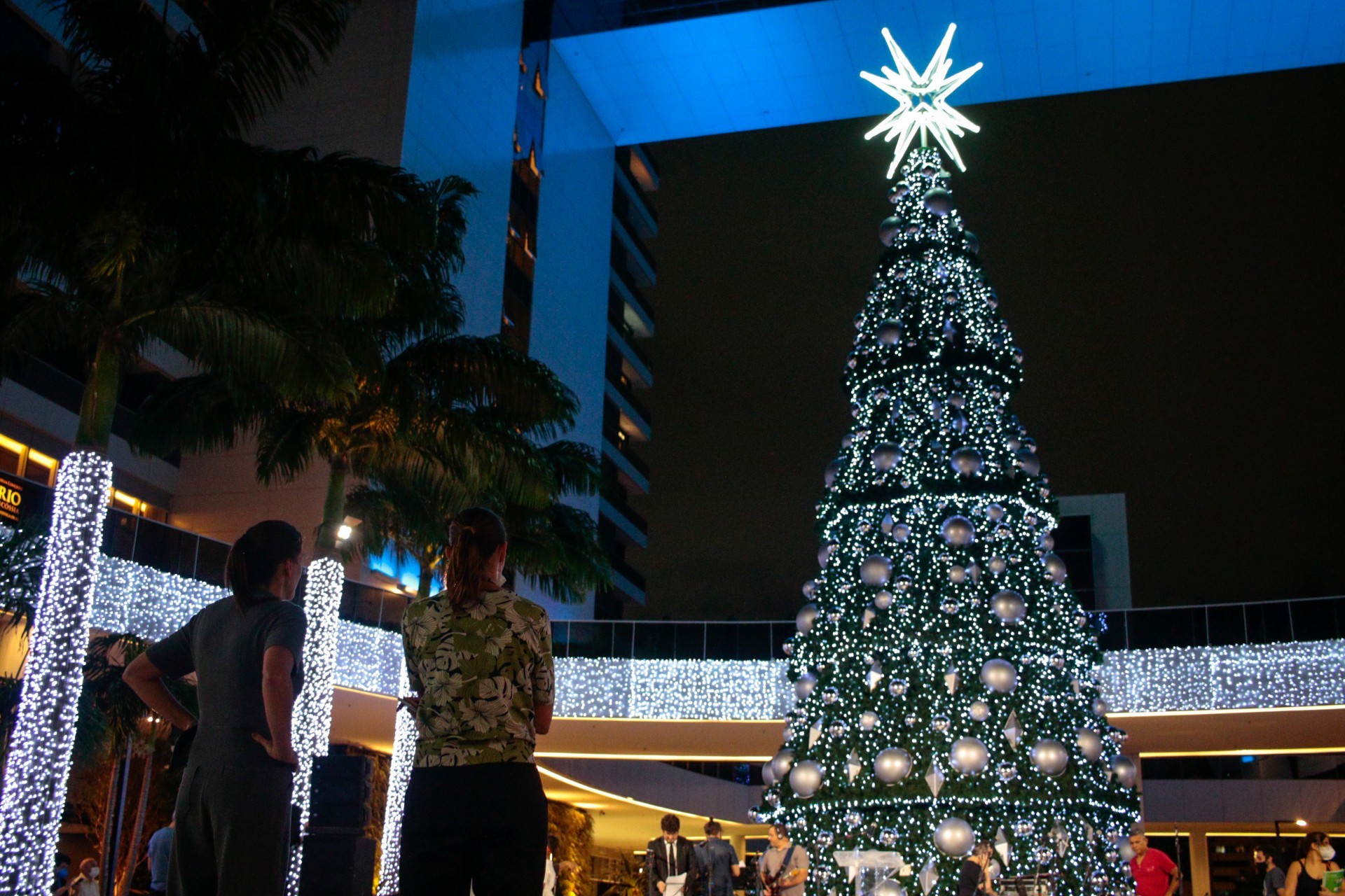 Empresa monta árvore de Natal de 15 metros na Aldeota; inauguração nesta  sexta-feira, 5 | Farol | OPOVO+
