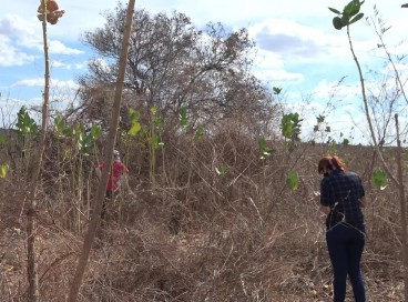 Pesquisadores da Funceme foram até Quixeramobim, localizada a 204,3 km de Fortaleza, para coletar a amostra do solo 