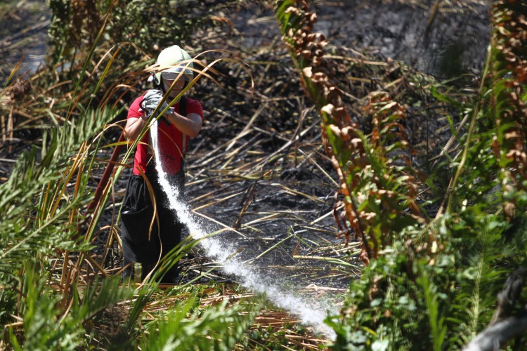 Incêndio no Cocó prejudicou mais de 20 hectares da área de preservação ambiental e espalhou fumaça por bairros de Fortaleza; entenda