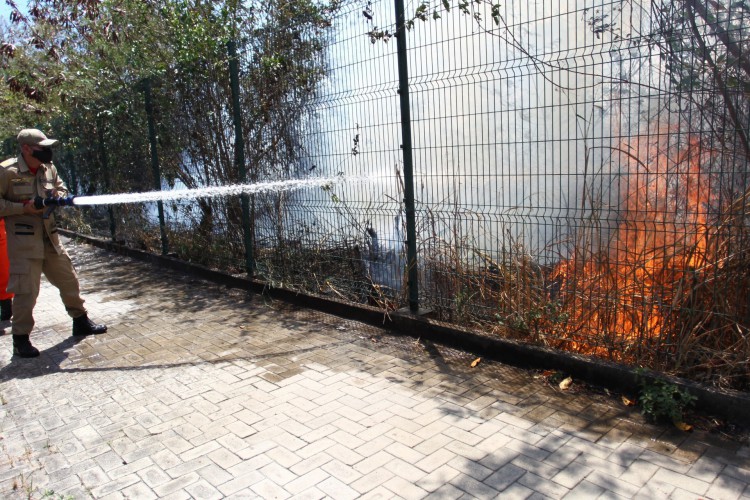 Bombeiro tentando debelar focos de Incêndio no Parque do Cocó, na quinta-feira