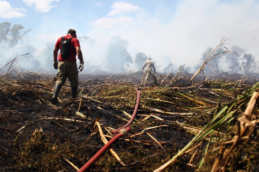 Inc&ecirc;ndios, ondas de calor, tempestades e enchentes, do Chile ao Hemisf&eacute;rio Norte, da &Aacute;frica &agrave; Europa e, cada vez mais, no Brasil, deixaram de ser exce&ccedil;&otilde;es(Foto: FABIO LIMA)