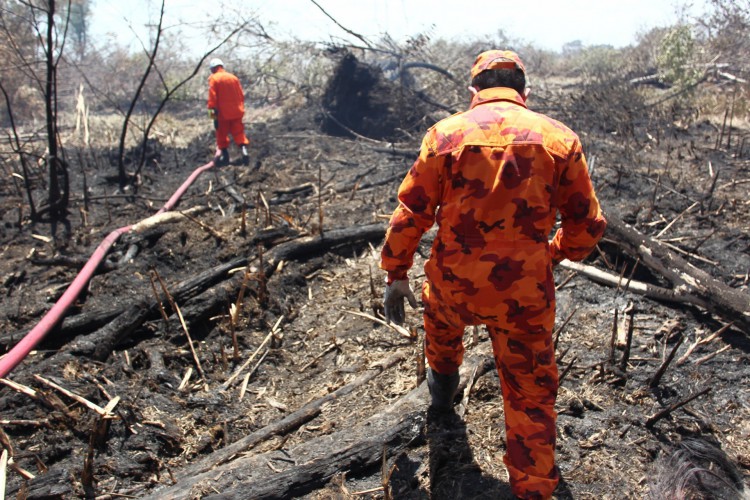 Bombeiros fazem vistoria no Parque do Coc&oacute; eliminando poss&iacute;veis novos focos de inc&ecirc;ndio