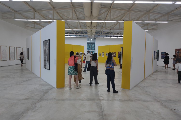 Imagem da exposição montada na Galeria da Mata, em Inhotim