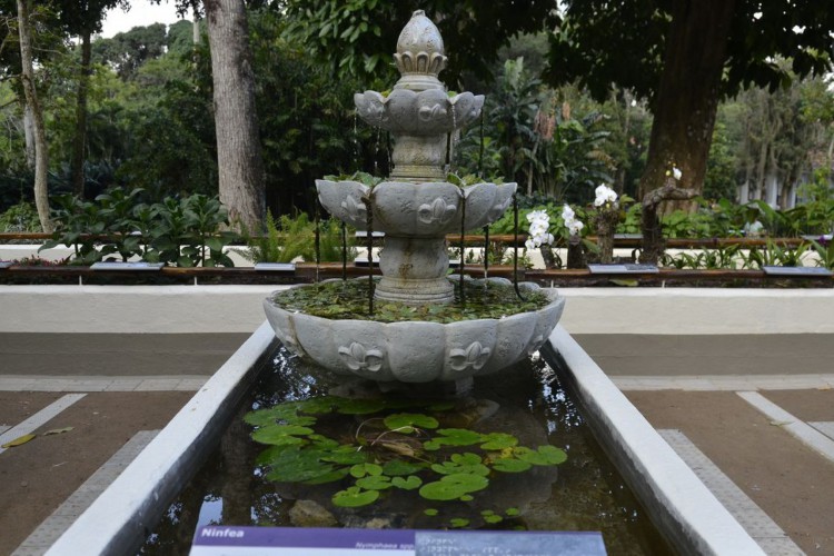 Jardim Botânico do Rio de Janeiro reabriu hoje (30) o Jardim Sensorial, espaço que oferece um conjunto de plantas com diferentes texturas e aromas, que os visitantes podem tocar e cheirar (Tomaz Silva/Agência Brasil)
