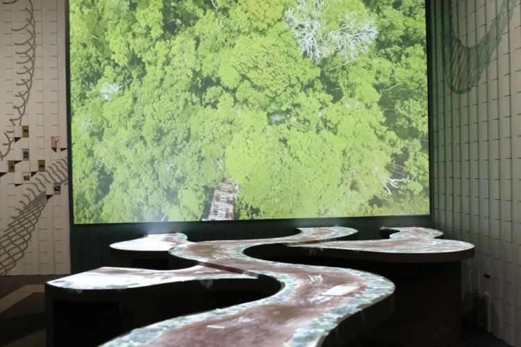 Exposição Fruturos - Tempos Amazônicos no Museu do Amanhã, no Rio de Janeiro