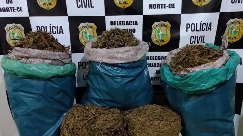 As drogas estavam em três sacos plásticos(foto: Divulgação/SSPDS)