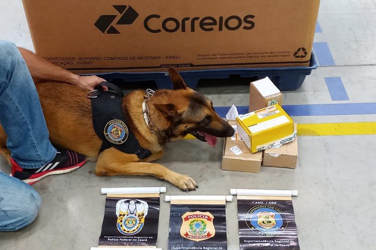 Apreensão de um quilo em MDMA (ecstasy) e skunk (maconha) ocorreu na manhã desta sexta-feira, 24, nos Correios de Eusébio