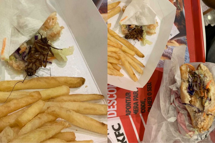 Cliente diz ter mordido barata em sanduíche em Porto Alegre