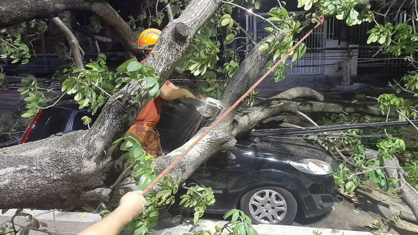 Árvore caiu sobre carro estacionado próximo ao local (foto: CBMCE/Reprodução )