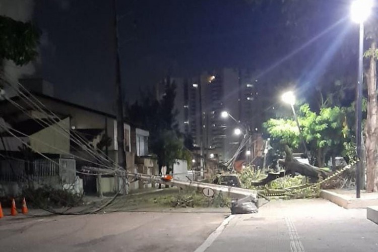 A árvore caiu sobre um carro que estava estacionado e dois postes de iluminação vieram a desabar, atingindo uma idosa. Caso ocorreu na noite dessa segunda-feira, 3, no Bairro de Fátima