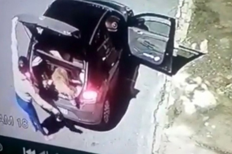 A ONG Buridogs fez o resgate dos animais 