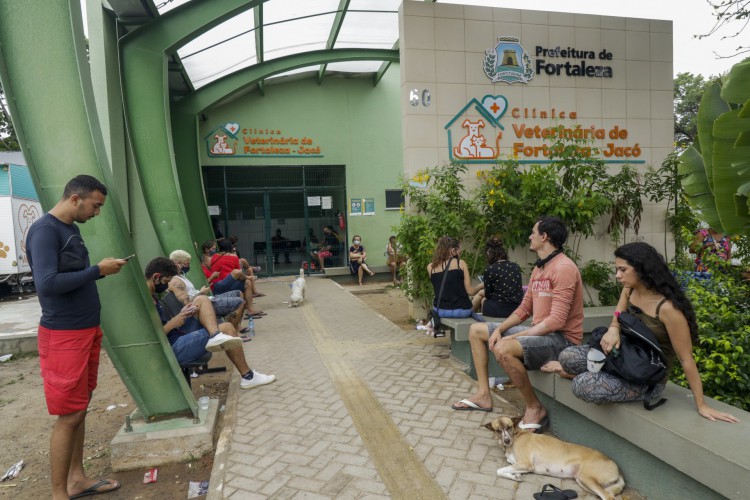 Exames são feitos na Clínica Veterinária Jacó, da Prefeitura de Fortaleza, durante o próprio processo de doação de sangue