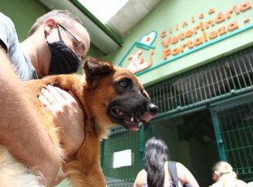Clínica veterinária de Fortaleza Jacó oferece atendimentos gratuitos para a população. 