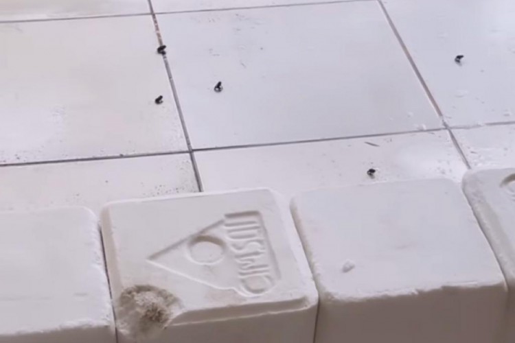 Influencer utiliza pedra de sal para barra entrada de rãs em casa, na Lagoa Redonda