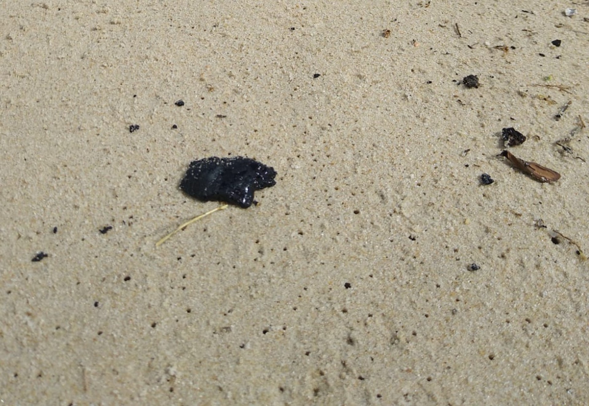 ESTUDO que descartou que manchas de óleo não têm relação com tsunami na Oceania analisou material no Ceará
 (Foto: Reprodução/redes sociais)