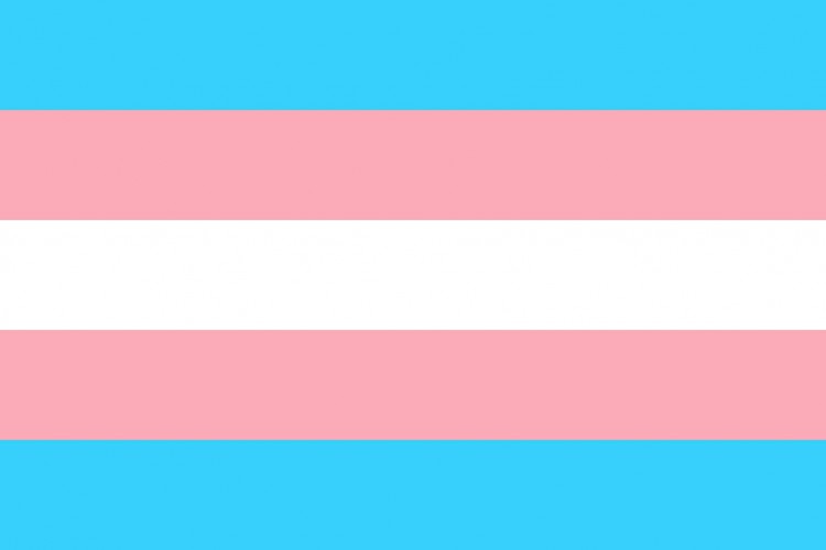 Bandeira da orgulho trans