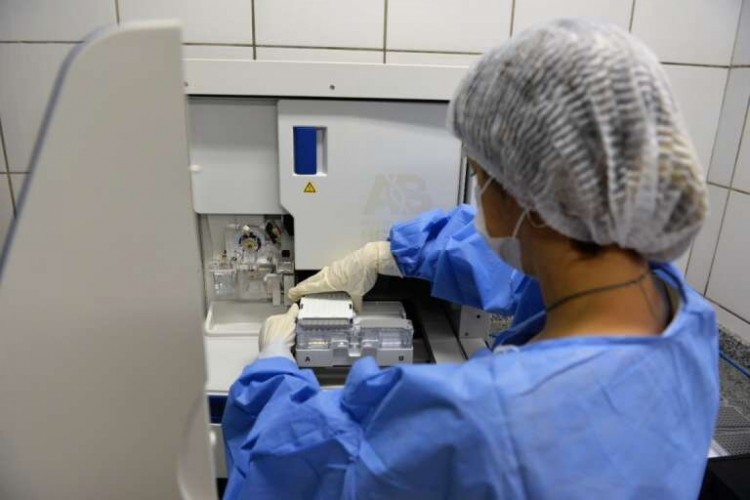 Material genético foi extraído em 2020