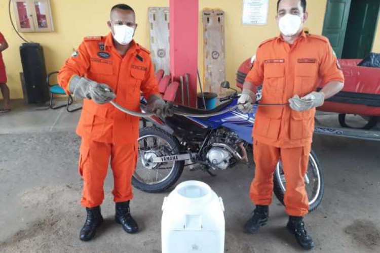 Corpo de Bombeiros Militar do Ceará realiza resgate de cobra encontrada no motor de uma motocicleta.