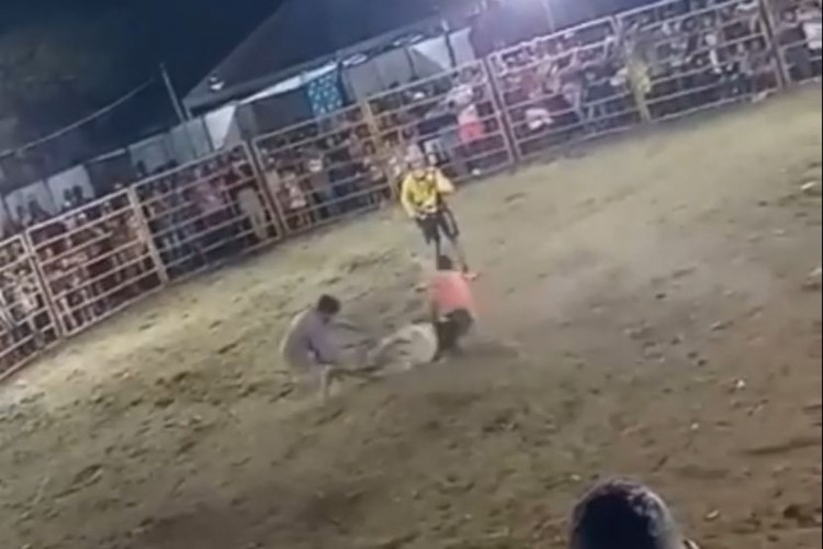 Evento é denunciado por maus-tratos após divulgação de imagens 