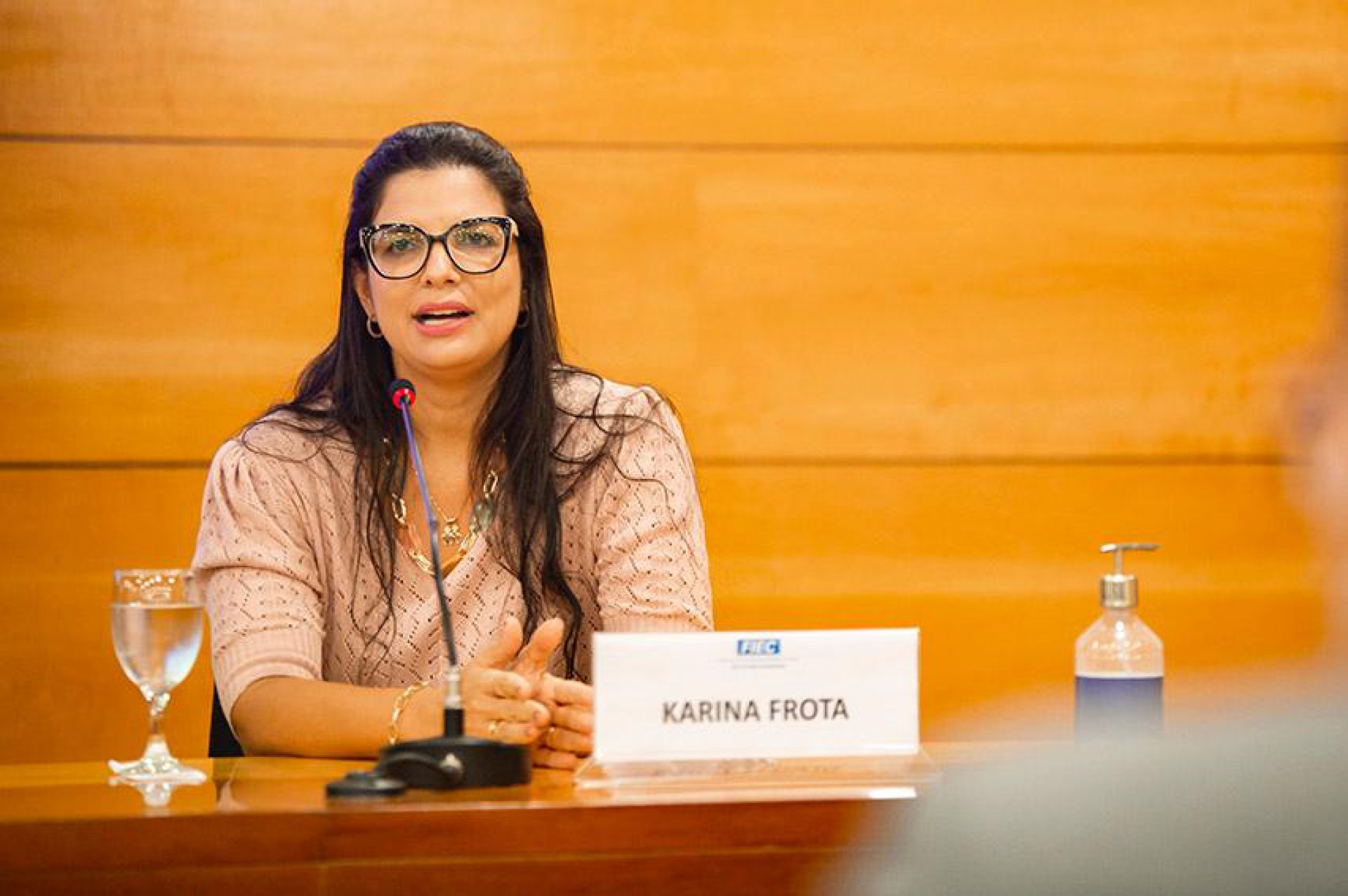 Karina Frota assume como diretora de Comércio Exterior na Câmara Comercial da Argentina no Ceará (Foto: Divulgação)