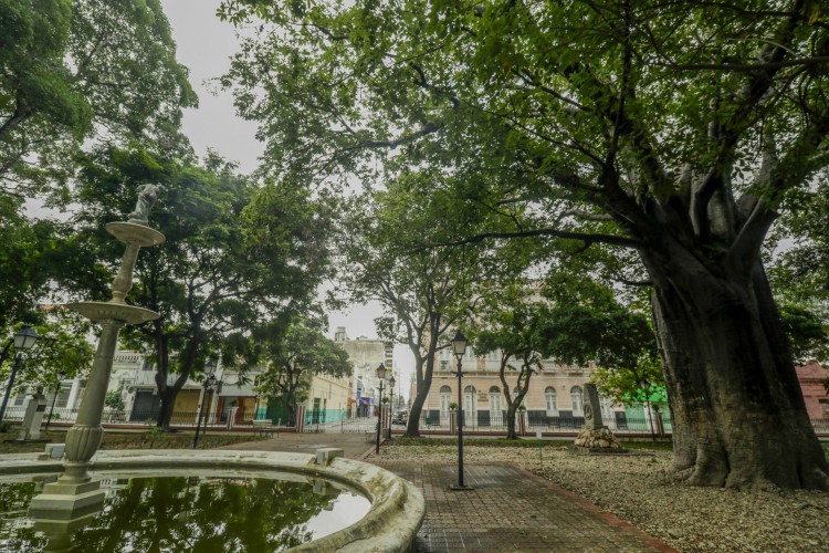 Foto de apoio ilustrativo. Tour gastronômico tem como objetivo compartilhar boas experiências gastronômicas de forma personalizada 
