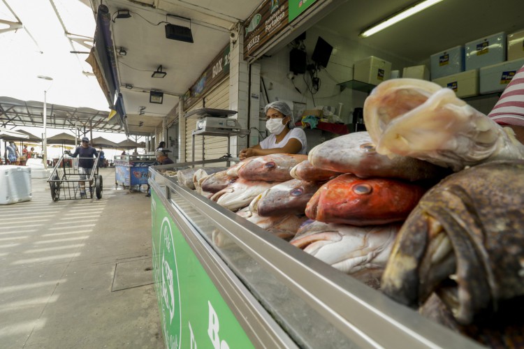 Mercado dos Peixes na avenida Beira Mar voltou a ser administrado pela Prefeitura de Fortaleza