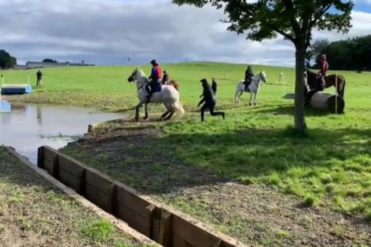 Mark Todd, de 65 anos, agrediu o animal com um galho para fazê-lo entrar na água.