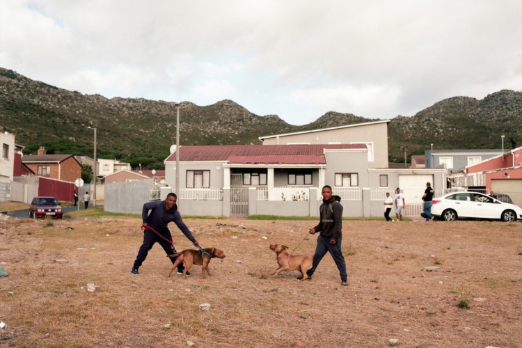 Homens posam com seus c&atilde;es em Ocean View, Cidade do Cabo, em 3 de fevereiro de 2022