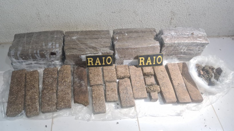 45 quilos de maconha apreendidos pelo Raio em Aquiraz (foto: divulgação/PMCE )