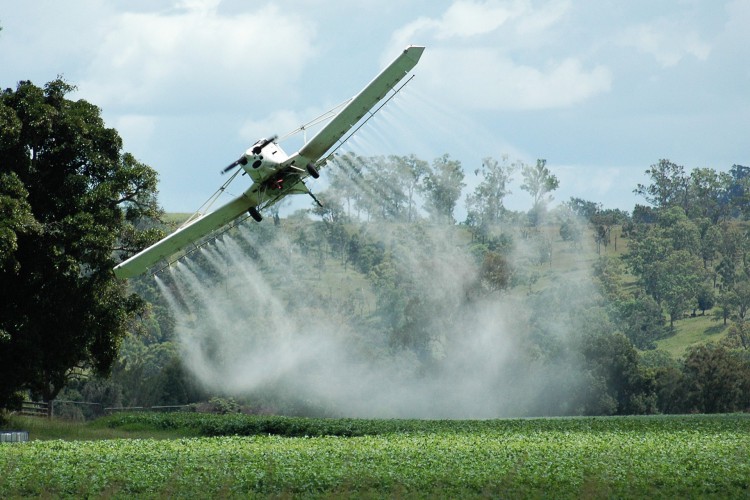 Grupos representantes da Bayer, a Basf e a Syngenta gastaramcerca de 2 milhões de euros para o  agronegócio no Brasil