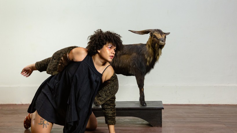 Eventos no Dragão do Mar celebram centenário de eleição do Bode Ioiô - O POVO